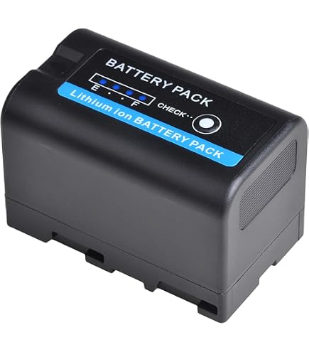 Amazon.com : Kastar BP-U30 Battery (2-Pack) for Sony BP-U90 BP-U60